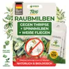 Raubmilben gegen Thripse, Spinnmilben & Weiße Fliegen - 10x Produktbild-Vorschau 1