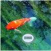 A koi fish swimming in a pond with a thermometer floating nearby. Náhľad obrázku produktu