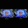 Xiaomi TV S Mini LED 65 2025 165,1 cm (65") 4K Ultra HD Produktbild-Vorschau 11