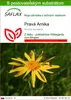 SAFLAX - Pravá Arnika - Arnica montana - 40 Semená - S Náhľad obrázku produktu 1