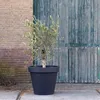 Kunststoff Blumentopf Anthrazit Ø80 cm - Höhe 76 cm Produktbild-Vorschau 2