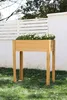 A wooden raised garden bed with white flowers is placed on a grassy lawn in front of a white fence and wall. Anteprima dell’immagine prodotto