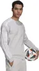 Adidas Squadra 21 Pullover Herren Produktbild-Vorschau 14