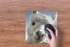 MuchoWow® Mauspad Mousepad Alpaka - Tier - Weiß 30x30 cm - Produktbild-Vorschau 3