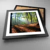 Gerahmtes Poster - Schwarzer Rahmen - Wald Blätter Sonne - Produktbild-Vorschau 3