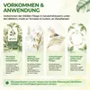 Encarsia Schlupfwespen gegen weiße Fliegen, 3 Karten für 15 Produktbild-Vorschau 2