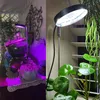 A split image showing two different plant lamps illuminating indoor plants. The left side shows a purple LED light illuminating a plant in a decorative pot. The right side shows a white LED light illuminating a plant with large green leaves. Náhľad obrázku produktu