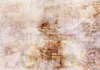 Vlies Fototapete - Magic Roses 150x105 cm Abstrakt Produktbild-Vorschau 5