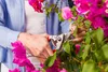 FELCO 14 Gartenschere Rebschere Garten-Schere Rosenschere Anteprima dell’immagine prodotto 3