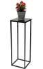 A black metal plant stand with a pot of red flowers on top, isolated on a white background. Voir les images du produit