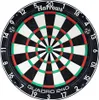 A dartboard with numbers and scoring sections. Podgląd zdjęcia produktu