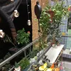 2er-Pack Hängekorbhaken, verstellbare Produktbild-Vorschau 6