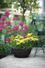 Blumenschale geli Rimini Kunststoff Ø 39,5 cm H 17 cm Produktbild-Vorschau 2