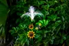 Northpoint LED Solar Gartenstecker Außenbereich Produktbild-Vorschau 6