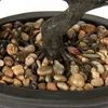 Kunstbonsai, Podocarpus, zeder, kiefer, zwarte keramische Productafbeelding-voorbeeld 4