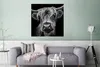 MuchoWow® Poster Schottischer Highlander - Hörner - Schwarz Produktbild-Vorschau 5