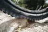 Schwalbe MTB-Fahrradreifen ALBERT TRAIL PRO RADIAL - ULTRA Produktbild-Vorschau 5