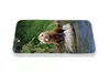 MuchoWow® Handyhülle Schutzhülle Hülle für iPhone 8 Bär - Produktbild-Vorschau 5
