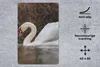 MuchoWow® Mauspad Mousepad Schwan - Wasser - Tiere - Vogel Produktbild-Vorschau 2