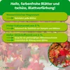 Purgrün -Amberbaum-Dünger 1 kg, Produktbild-Vorschau 3