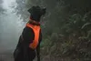 Ruffwear Hundegeschirr Front Range Harness Blaze Orange, Produktbild-Vorschau 6