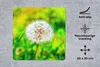 MuchoWow® Mauspad Mousepad Löwenzahn - Gras - Blume 20x20 Produktbild-Vorschau 2