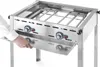 Hendi Gas Green Fire 2 Brenner, 11600 W, Grilování, Náhled obrázku produktu 16
