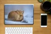 MuchoWow® Laptop Aufkleber Sticker Cover Amerika - Fuchs - Produktbild-Vorschau 2