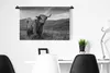 MuchoWow® Wandteppich Wandbehang Schottisches Hochlandrind Produktbild-Vorschau 5
