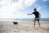 Waboba Dog Jetwag Spielzeug für Hunde 1er Produktbild-Vorschau 6