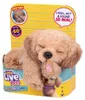 Little Live Pets Il mio cucciolo davvero reale S3 Bassotto Anteprima dell’immagine prodotto 4