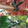 Pinces de fixation pour plantes, pinces de jardinage, 50 Voir les images du produit 8