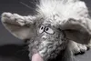 sigikid LaLa Langweile, Beasts Kuscheltier; 38606 Produktbild-Vorschau 2