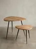 Design Beistelltisch Set in Nierenform aus einer schrägen 3/4-Perspektive, die schlanken, gespreizten Metallbeine und die massive Holzplatte aus Akazie sind deutlich zu sehen._#sku_BARWL5.977# Produktbild-Vorschau
