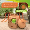 BioGreen 6er-Set ökologische Kerzen aus REWAX-Biomasse für Produktbild-Vorschau 3