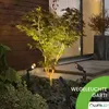 Outdoor garden lighting illuminating a small tree and surrounding rocks. Náhľad obrázku produktu