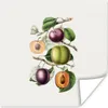 MuchoWow® Poster Pfirsich - Obst - Vintage 100x100 cm - Produktbild-Vorschau 1