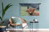 MuchoWow® Wandteppich Wandbehang Schottisches Hochlandrind Produktbild-Vorschau 5