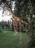 LED-Lichterkette-Crispy Ice 'Serie LED', 800 LED, Produktbild-Vorschau 2