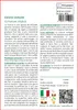 SAFLAX  - Cicoria comune - 250 semi - Con substrato - Anteprima dell’immagine prodotto 3