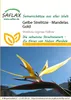 Artikelbild 1 von 'Gelbe Strelitzie Mandelas Gold' aus der Kategorie Blumensamen Produktbild-Vorschau