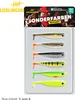 Lieblingsköder Zielfischbox Allround Produktbild-Vorschau 10