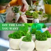 Islandmoos, Moos in 6 versch 240g für Moosbilder, Produktbild-Vorschau 6
