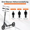 FOXSPORT Trottinette, scooter, trottinette de ville, Voir les images du produit 3