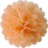 apricot Papier Pompons Produktbild-Vorschau
