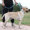 Laisse pour chien réfléchissante, laisse d'entraînement Voir les images du produit 6