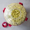 A top-down view of a large, clear fermentation vessel filled with green peas, with red straps and a red lid with white caps visible. Produktbild-Vorschau