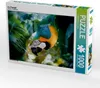 CALVENDO Puzzle Ara Papagei | 1000 Teile Lege-Größe 64x48cm Produktbild-Vorschau 1
