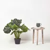 HOMESCAPES Monstera umělá rostlina v květináči - 60 cm Náhled obrázku produktu 6