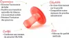 Squiz'top - Embouts en silicone médical Voir les images du produit 3